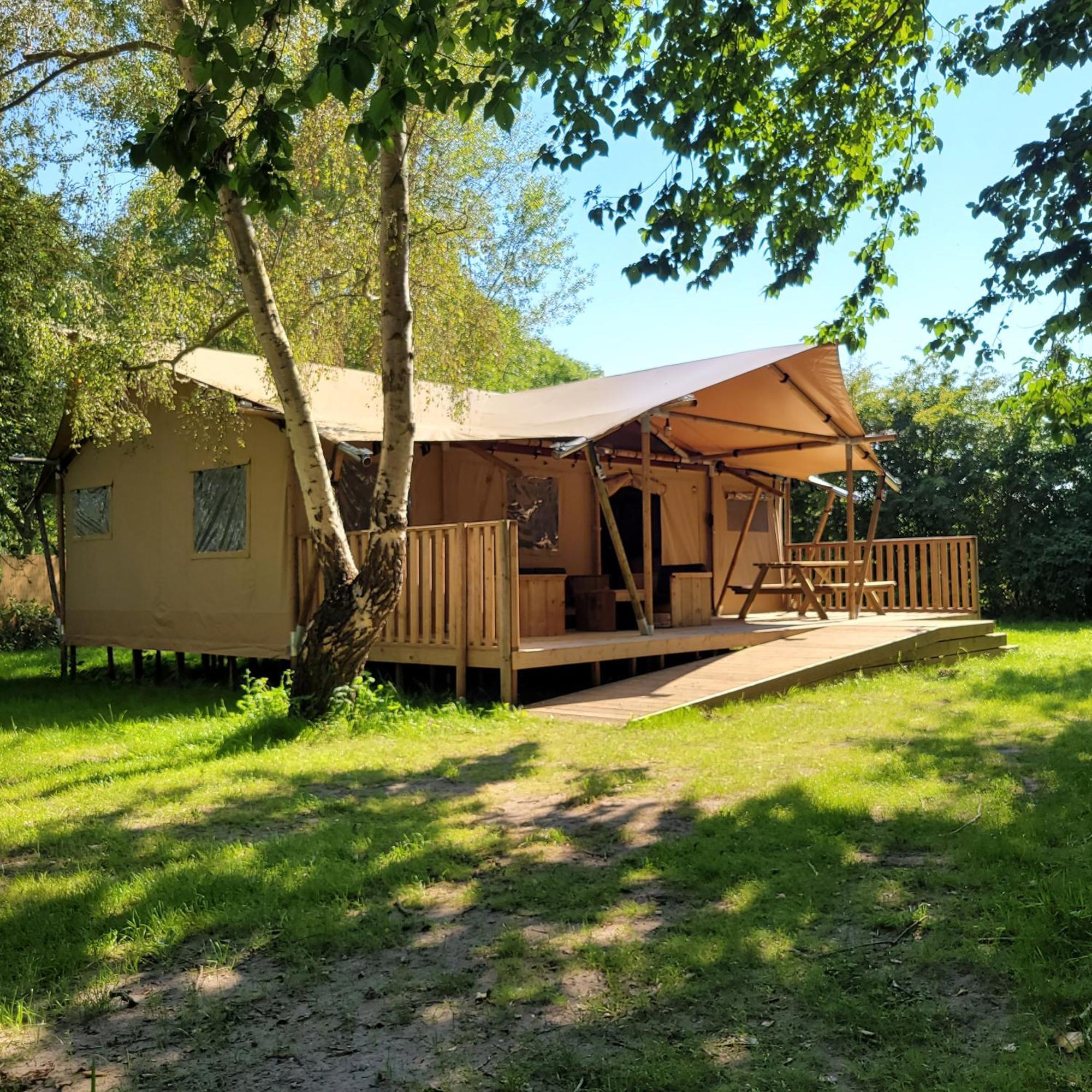 Ecolodges De Dreef Renesse Εξωτερικό φωτογραφία